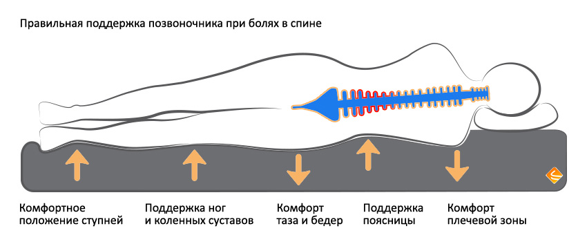 Положение позвоночника при болях в спине во сне